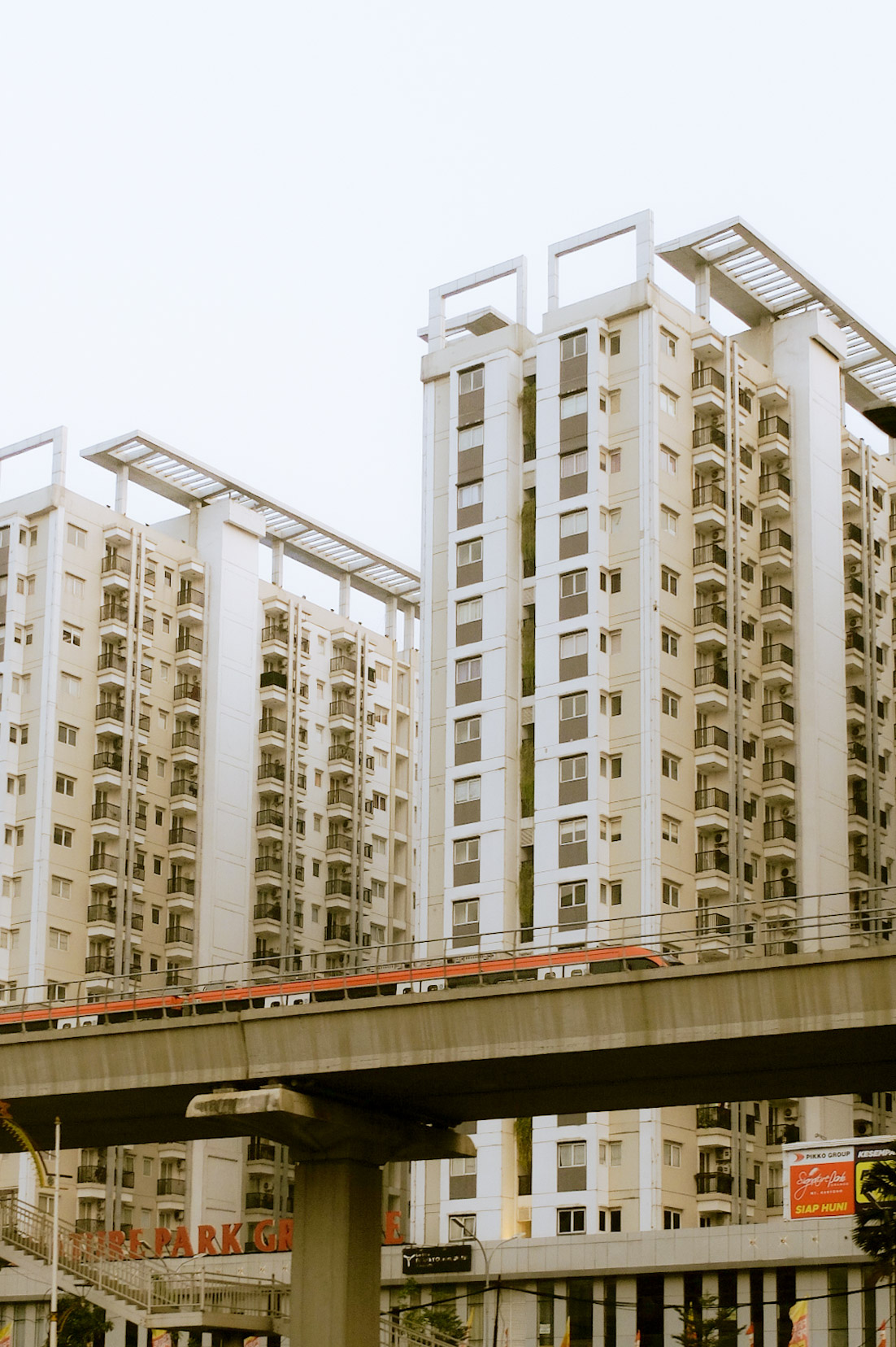 portrait photography